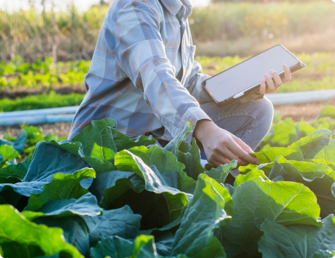 Farmer recording crop data using AgSquared on a tablet